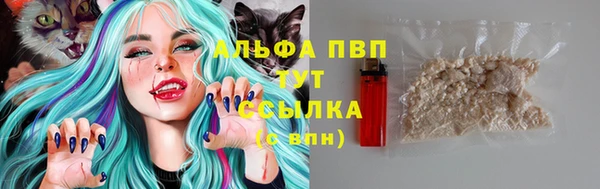 spice Арсеньев