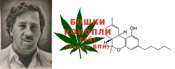 spice Арсеньев