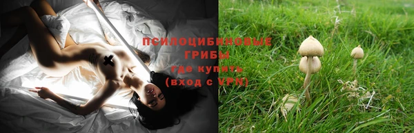 соль ск Аркадак