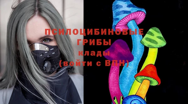 соль ск Аркадак