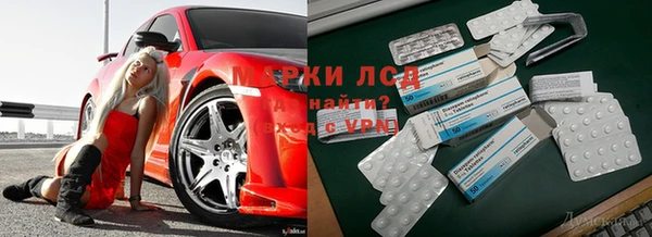 spice Арсеньев