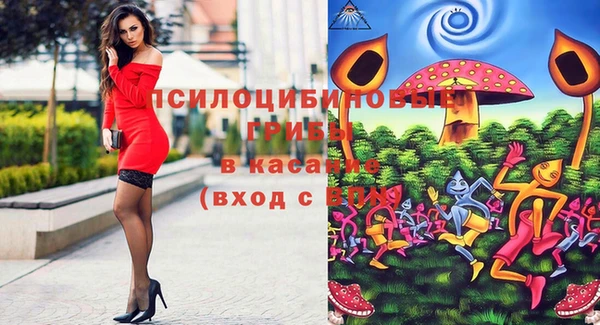 spice Арсеньев
